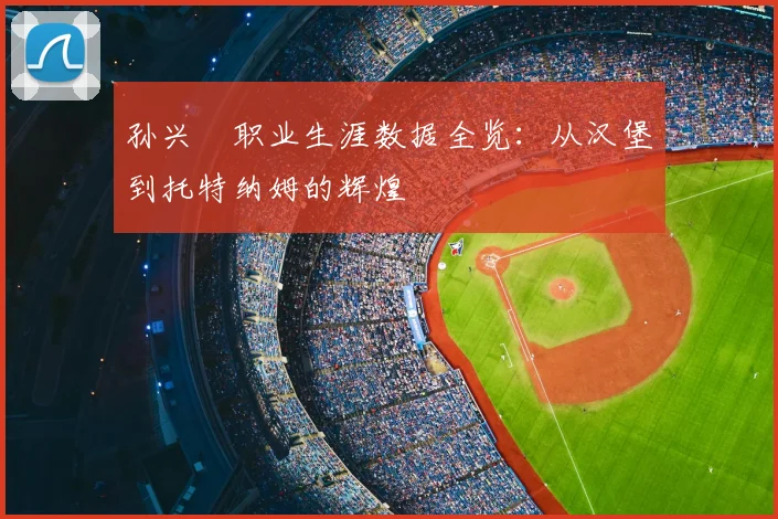 孙兴慜职业生涯数据全览:从汉堡到托特纳姆的辉煌