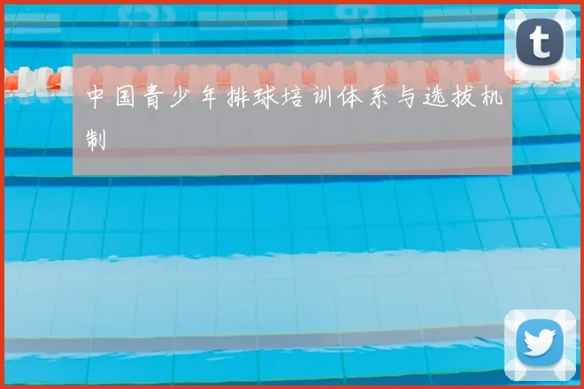 中国青少年排球培训体系与选拔机制
