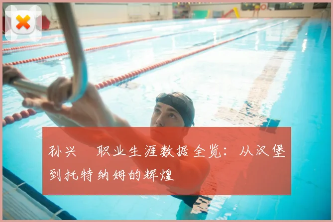 孙兴慜职业生涯数据全览：从汉堡到托特纳姆的辉煌